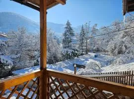 къща Чипровка