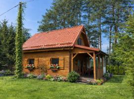 Domek u Ewy, hotel a Rydzewo