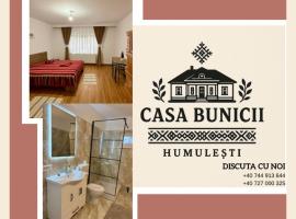 Casa Bunicii, hotel v destinácii Targu Neamt