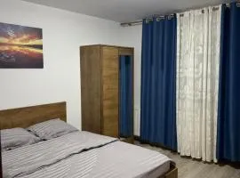 Central Confort Apartament