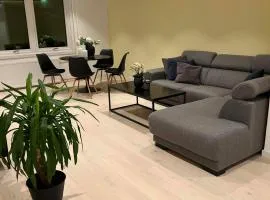 Mannsverk Nordic Apartment