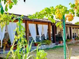 Beautiful apartment surrounded by greenery