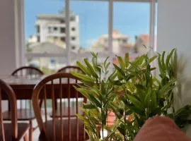 Green Home Palmas