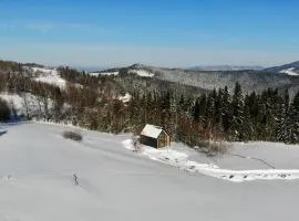 MC Na Leśnej Polanie