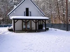 Domek w lesie blisko rzeki