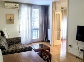 One Bedroom Apartment Theatre