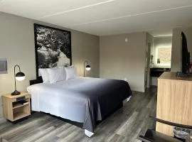 Super 8 by Wyndham Kingsport /I-81