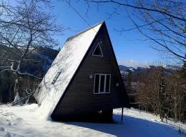 М'юзіка Карпат