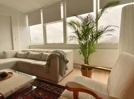 Luxury penthouse apartment in Brøndby - 8 people