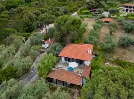 Sea View Traditional Villa