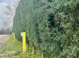 MATKA ECO RV CAMP Campervan & Motorhome Parking in Nature – hotel w mieście Skopje