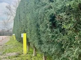 MATKA ECO RV CAMP Campervan & Motorhome Parking in Nature