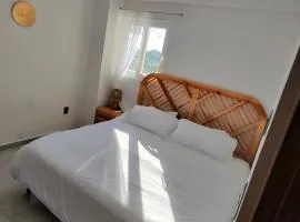 HABITACIÓN Torres Palmas alberca, vista al mar, Roof Top VIP