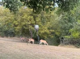 Gorgeous 10 Acre Estate POOL HOT TUB GAME ROOM