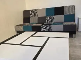 Ocean 300m Gare Centre ville Wifi Parking gratuit