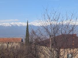 Loria's Cozy House - Telavi, hotel em Telavi