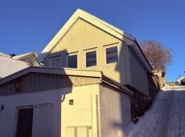 Gjestehus i Larvik sentrum