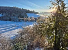 Fewo Schmallenberger Mauerblümchen