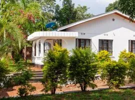 Noric Homes and Adventure