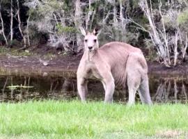 Viesnīca Entire vineyard estate, hunter family gatherings pilsētā Lavdeila