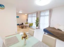 The Kabira 川平湾に一番近いヴィラ 滞在中レンタカー無料 The closest private villa to Kabira Bay! Free car rental