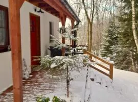Borówkowa Dolina