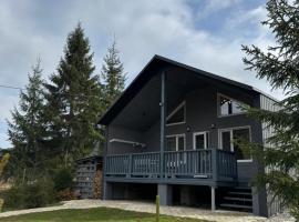 Карпатський затишок, Hotel in Senechiv