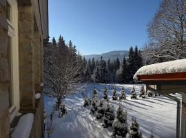 Maiers Hotel，拜恩埃森施泰因的飯店