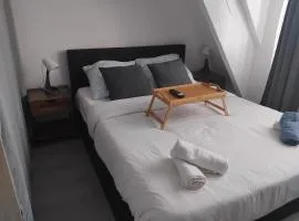 Appartement BREST 2 chambres avec internet - Entrée autonome