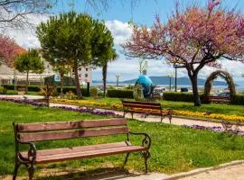 Studio apartman Relota