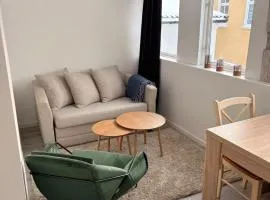 Gjestehus i Larvik sentrum