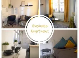 Business Apartment Dresden