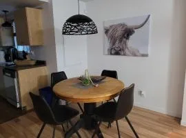 L'EMERAUDE sur la rivière Magog