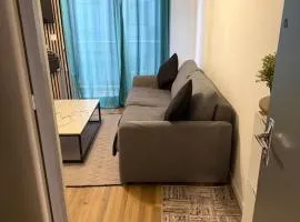 Magnifique studio en bord de mer vue montagne