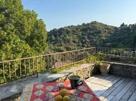 Maison de village 3 chambres 2 SDB avec terrasse & jardin - Proche St Florent