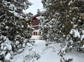 Chalet familial au centre ville de Gerardmer