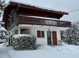 Chalet familial au centre ville de Gerardmer avec jeux et piscine extérieure estivale