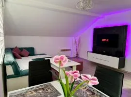 Apartment Djurdjic
