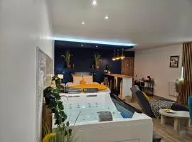 Studio Design Cocon SPA privé à deux pas de Lille