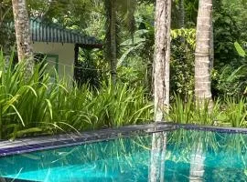 Madam Lotus - A peaceful stay in Sri Lanka