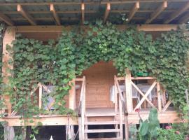 Riverside Cottage, hotel a Martvili