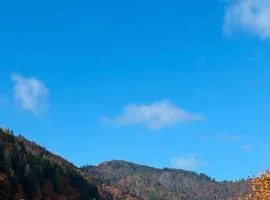 Ferienwohnung mit Erholungbereich im Menzenschwander Tal