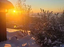 Ferienbungalow Sonnenwald Bayerischer Wald