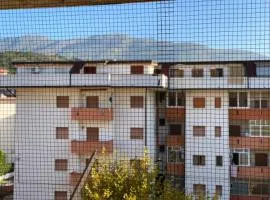 Appartamento MiMoSa Scalea