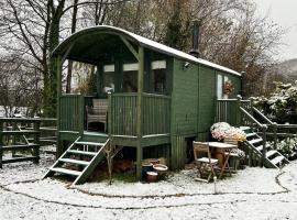 Shepherds hut, Eco, Log burner Hot tub NY moors, hotel i Hackness