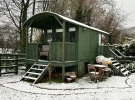 Shepherds hut, Eco, Log burner Hot tub NY moors