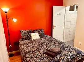 Chambres dans Apt 150m2 - Centre Feurs - Proche gare