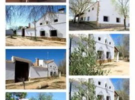 San Antonio 4 vientos