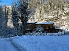 Le Cottage du Vieux Moulin