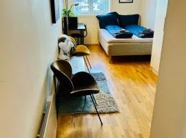 Riverside studioapartment 100m from trainstation!